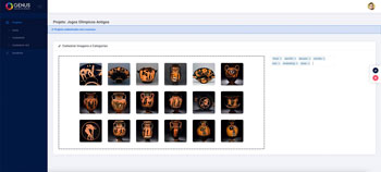 Cadastro de categorias emergentes